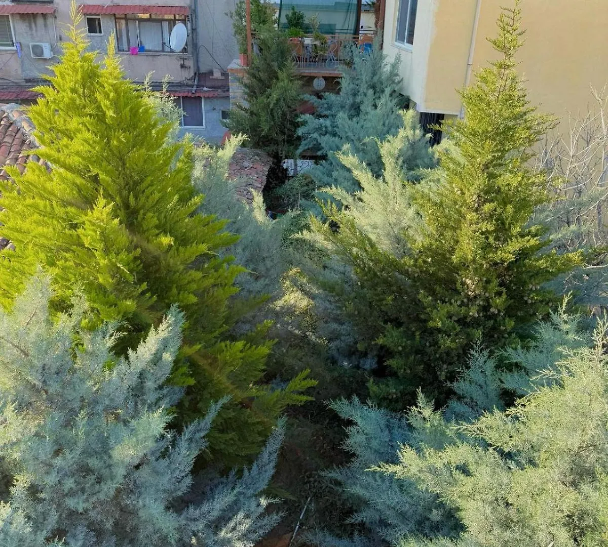 Shkodra Guest House 3*, Shkoder