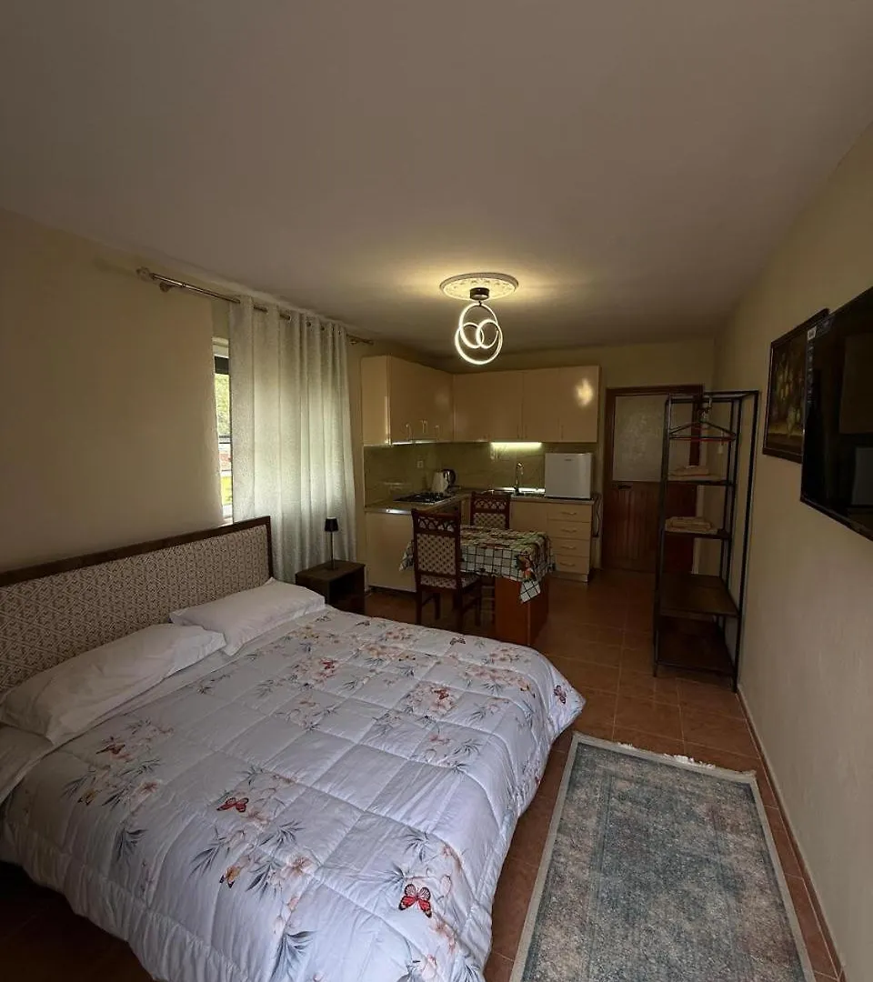 Shkodra Guest House & Trips 알바니아